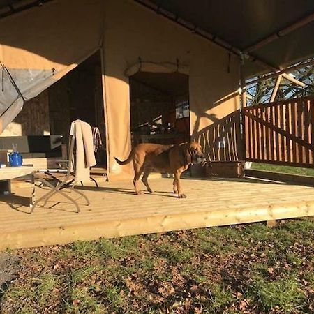 Lapwing Safari Tent Cheltenham Zewnętrze zdjęcie