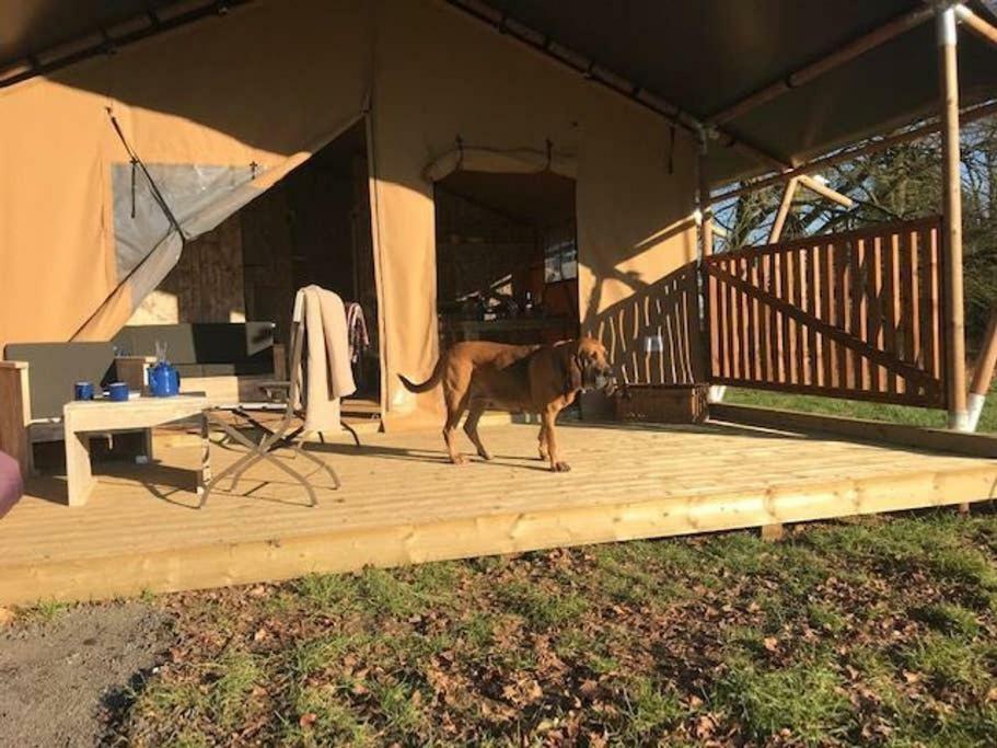 Lapwing Safari Tent Cheltenham Zewnętrze zdjęcie